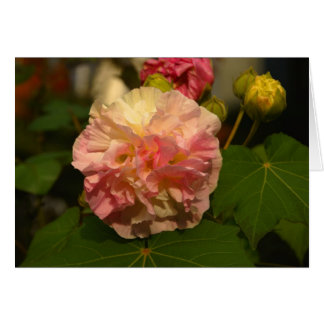 Koinonia   "Fellowship on the Path"