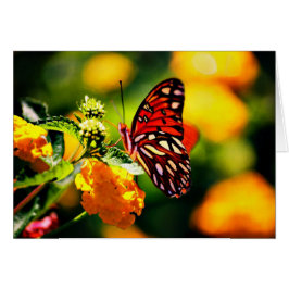 Koinonia "Fellowship on the Path"