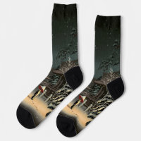 Koitsu - Sneeuw bij Nezu Schrijn