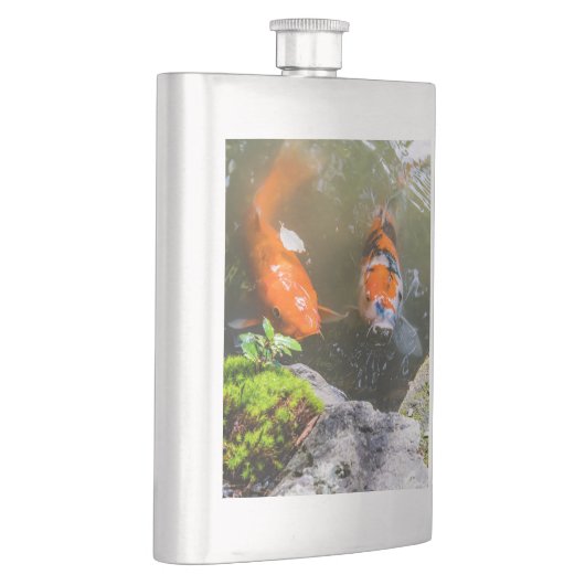 Koivis in een vijver flacon (Rechts)