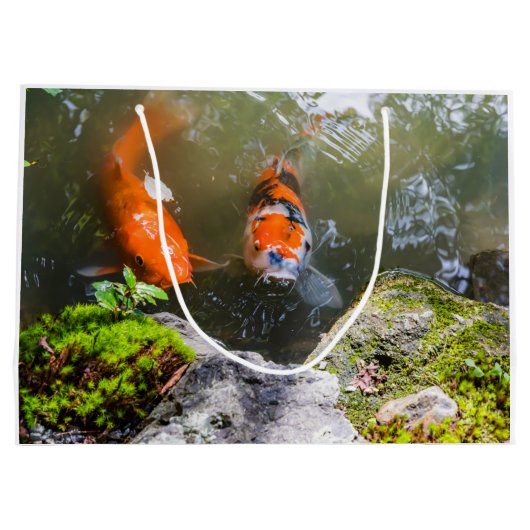 Koivis in een vijver groot cadeauzakje (Achterkant)