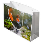 Koivis in een vijver groot cadeauzakje (Achterkant Gekanteld)