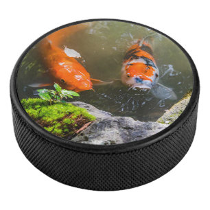 Koivis in een vijver hockey puck