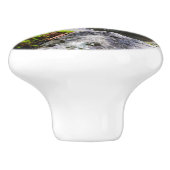 Koivis in een vijver keramische knop (Zijkant)