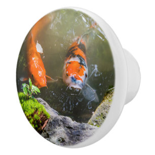Koivis in een vijver keramische knop