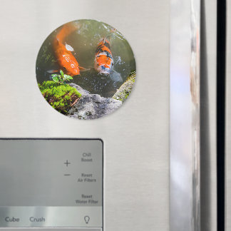 Koivis in een vijver magneet