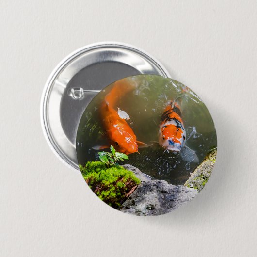 Koivis in een vijver ronde button 5,7 cm (Voorkant /achterkant)