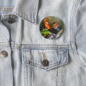 Koivis in een vijver ronde button 5,7 cm (In situ)