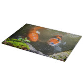 Koivis in een vijver snijplank (Hoek)