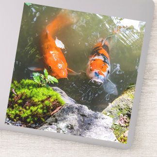 Koivis in een vijver sticker