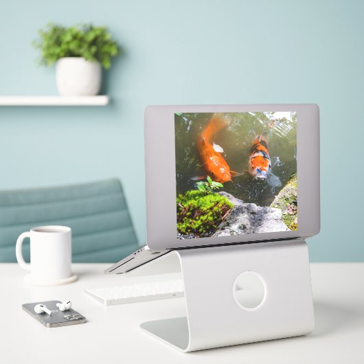 Koivis in een vijver sticker (Laptop op bureau)