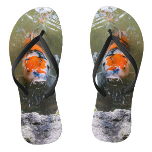 Koivis in een vijver teenslippers