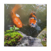 Koivis in een vijver tegeltje (Voorkant)