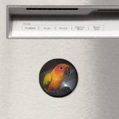 Kojo De Zon Conure - Gepersonaliseerd Magneet (Insitu (Vaatwasser))