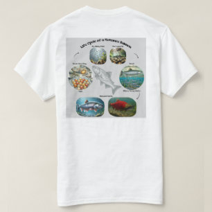 Kokanee Zalm Levenscyclus Grafiek T-shirt