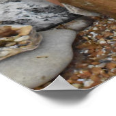 Koken voor de stam poster (Hoek)