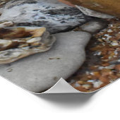 Koken voor de stam poster (Hoek)