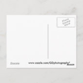 kokerbank briefkaart (Achterkant)