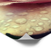 Koko Loco Roos Flower Poster (Hoek)