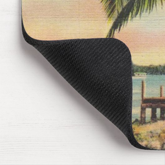  kokokospalmen muismat (Hoek)