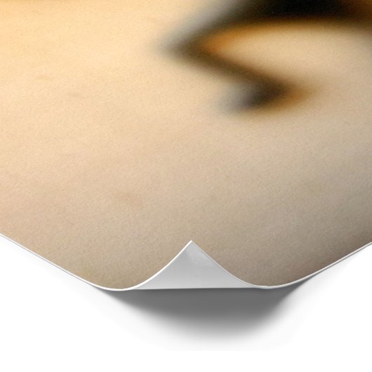 Kokopelli Deity of Good Times Poster (Hoek)