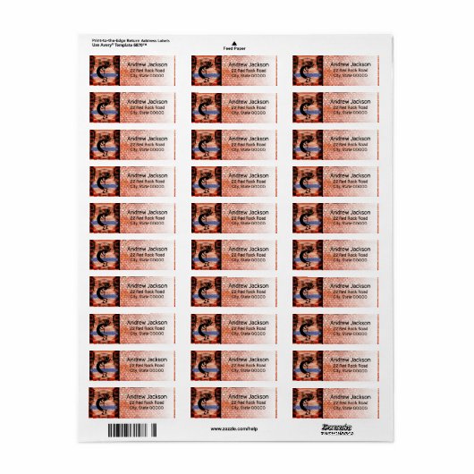 Kokopelli Desert Landscape Return Label (Full Sheet)