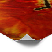 Kokopelli Tie Dye Poster (Hoek)