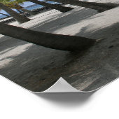 Kokosbomen op de plaats van bestemming, Hawaii - A Poster (Hoek)