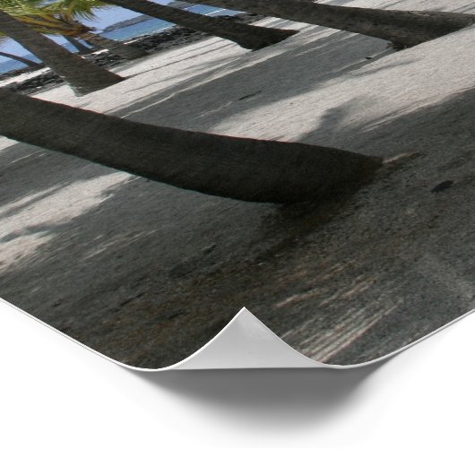 Kokosbomen op de plaats van bestemming, Hawaii - A Poster (Hoek)