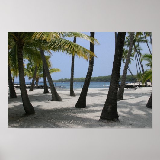 Kokosbomen op de plaats van bestemming, Hawaii - A Poster (Voorkant)