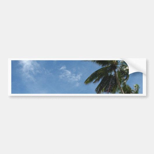 Kokosboom Bumpersticker (Voorkant)