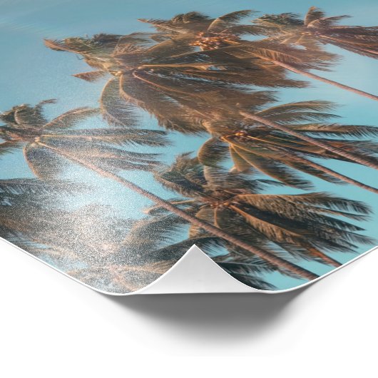 Kokosboom Foto Afdruk (Hoek)