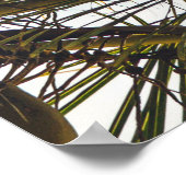 Kokosboombladeren onder blauwe hemel in de ochtend poster (Hoek)