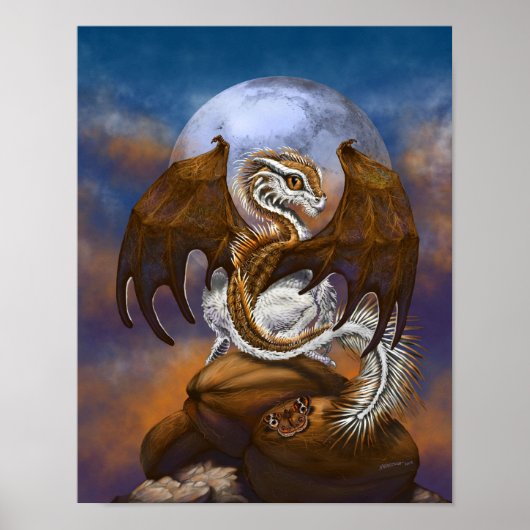 Kokosdraak 11x14 (4x6 en hoger) poster (Voorkant)