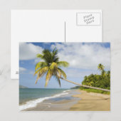 Kokoskever in de Cades Bay, met St. 2 Briefkaart (Voorkant / Achterkant)