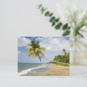 Kokoskever in de Cades Bay, met St. 2 Briefkaart (Staand voorkant)