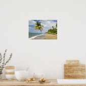 Kokoskever in de Cades Bay, met St. 2 Poster (Keuken)
