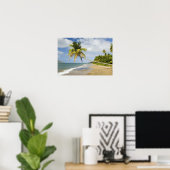 Kokoskever in de Cades Bay, met St. 2 Poster (Thuiskantoor)