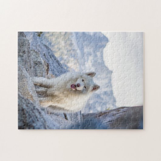 Kokosnoot - Bergen Legpuzzel (Horizontaal)