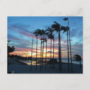 Kokosnoot bij het strand briefkaart