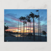 Kokosnoot bij het strand briefkaart (Voorkant)