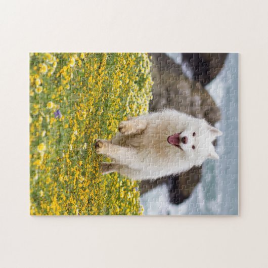 Kokosnoot - Bloemen Legpuzzel (Horizontaal)