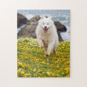 Kokosnoot - Bloemen Legpuzzel