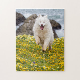 Kokosnoot - Bloemen Legpuzzel