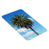 Kokosnoot boom foto magneet (Rechterzijde)