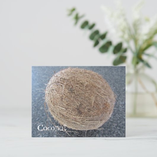 Kokosnoot Briefkaart (Staand voorkant)