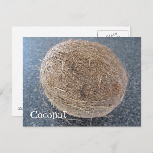 Kokosnoot Briefkaart (Voorkant / Achterkant)