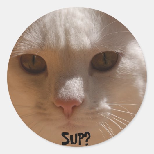 Kokosnoot de kat—SUP? Ronde Sticker (Voorkant)