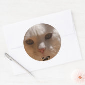 Kokosnoot de kat—SUP? Ronde Sticker (Envelop)