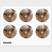 Kokosnoot de kat—SUP? Ronde Sticker (Vel)